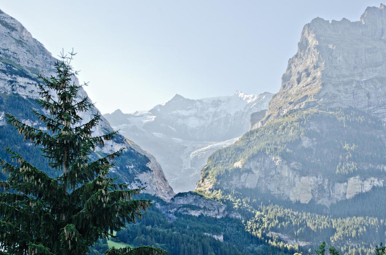 Apartment Felix - Griwa Rent Ag Grindelwald Luaran gambar